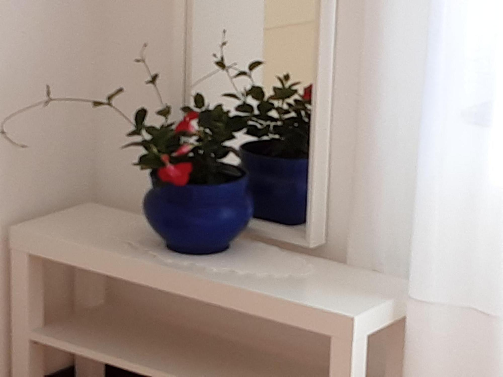סטארי גראד Apartman Legac חדר תמונה