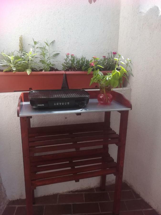 סטארי גראד Apartman Legac מראה חיצוני תמונה